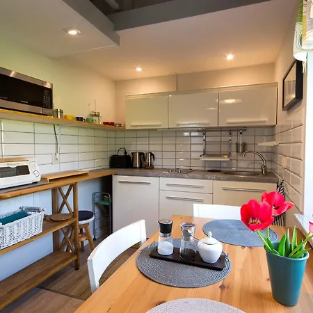 公寓 Rekowo 波莫瑞地区卡缅