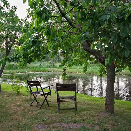 公寓 Rekowo 波莫瑞地区卡缅